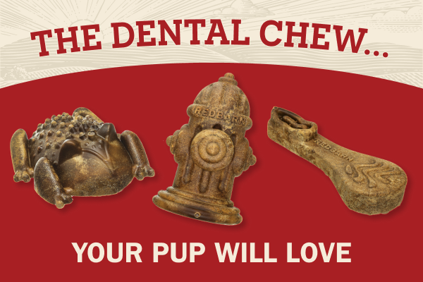 "The Dental Chew Your Pup Will Love" with the 3 shapes of Chew-A-Bulls
