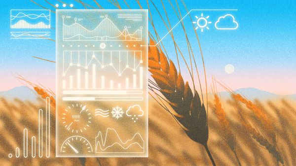 illustration of golden wheat field with a translucent data dashboard showing charts, gauges, and weather icons, representing agriculture and tech