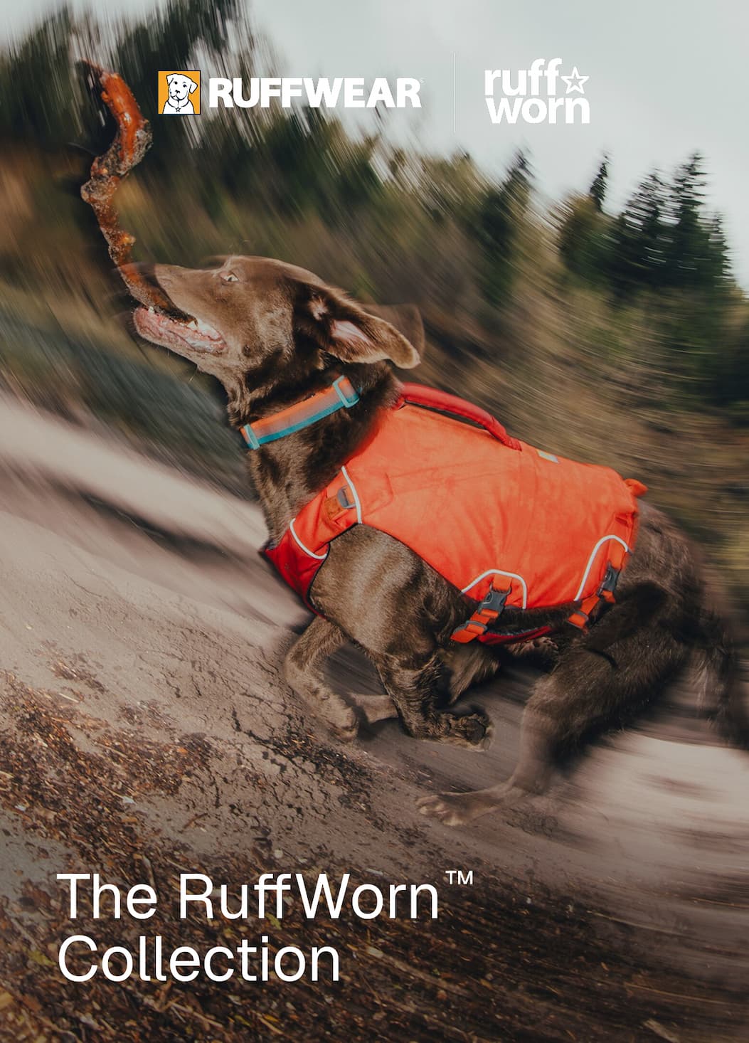 A dog runs in the sand with a stick in its mouth. The Ruffwear and RuffWorn logos are at the top.