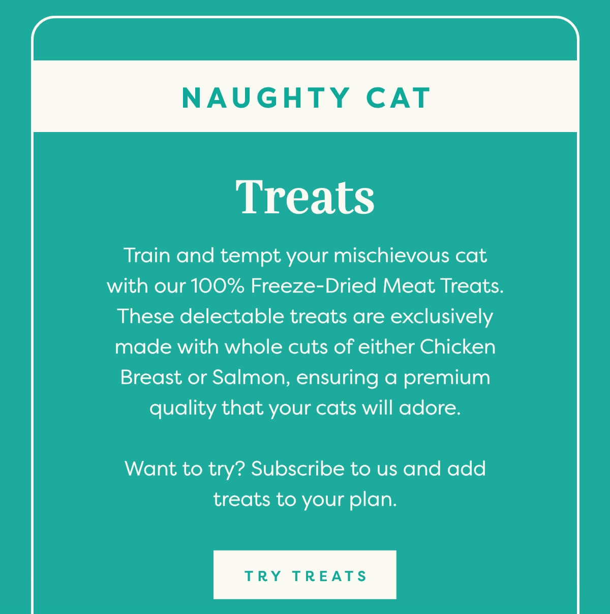 Naughty cat