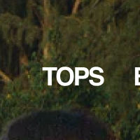 Tops