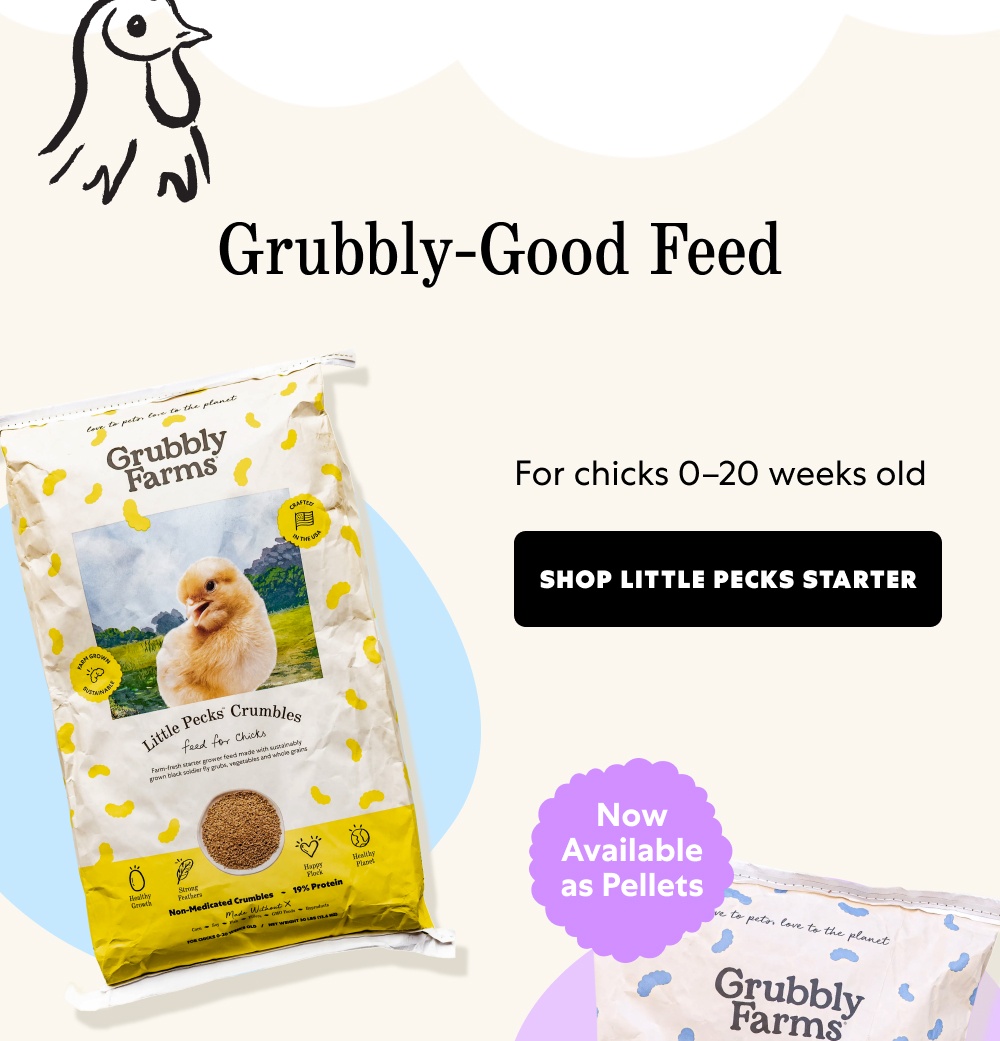 Grubbly-Good Feed For chicks 0–20 weeks old Shop Little Pecks Starter