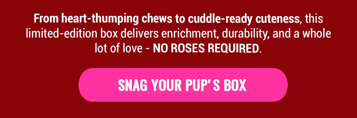 Bullymake Dog Toy Subscription Box