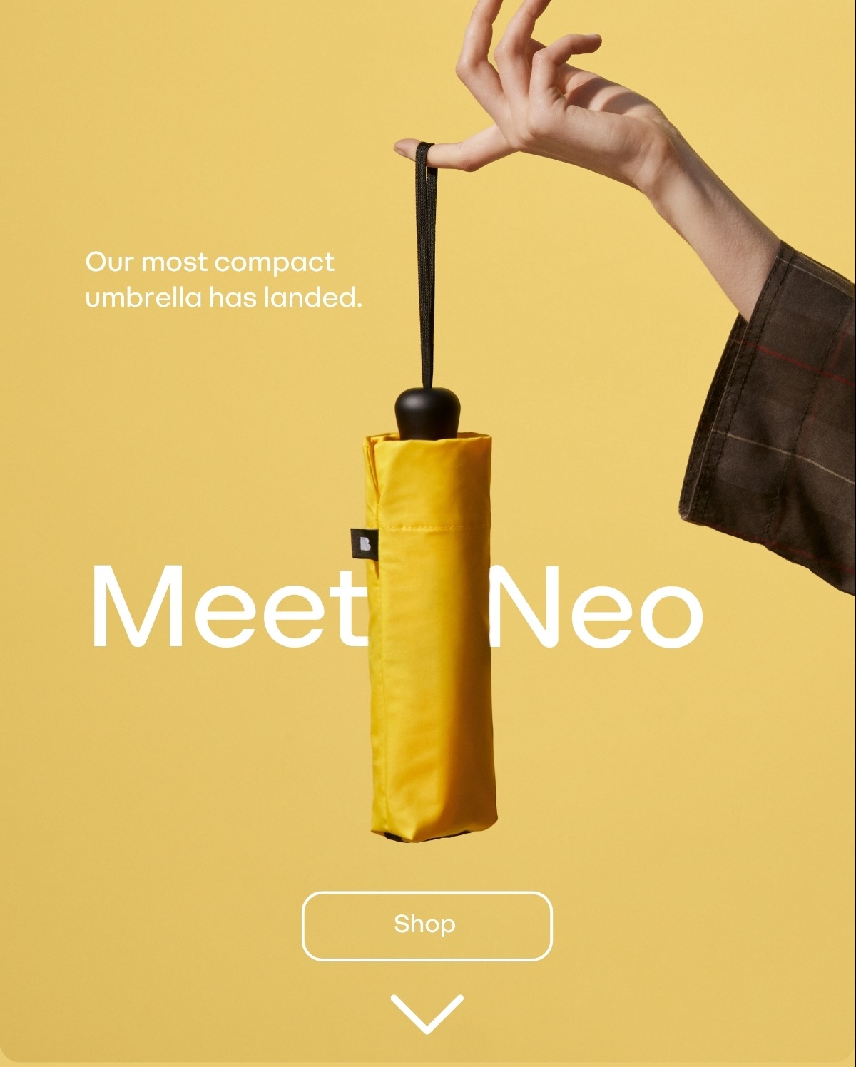 BLUNT Neo