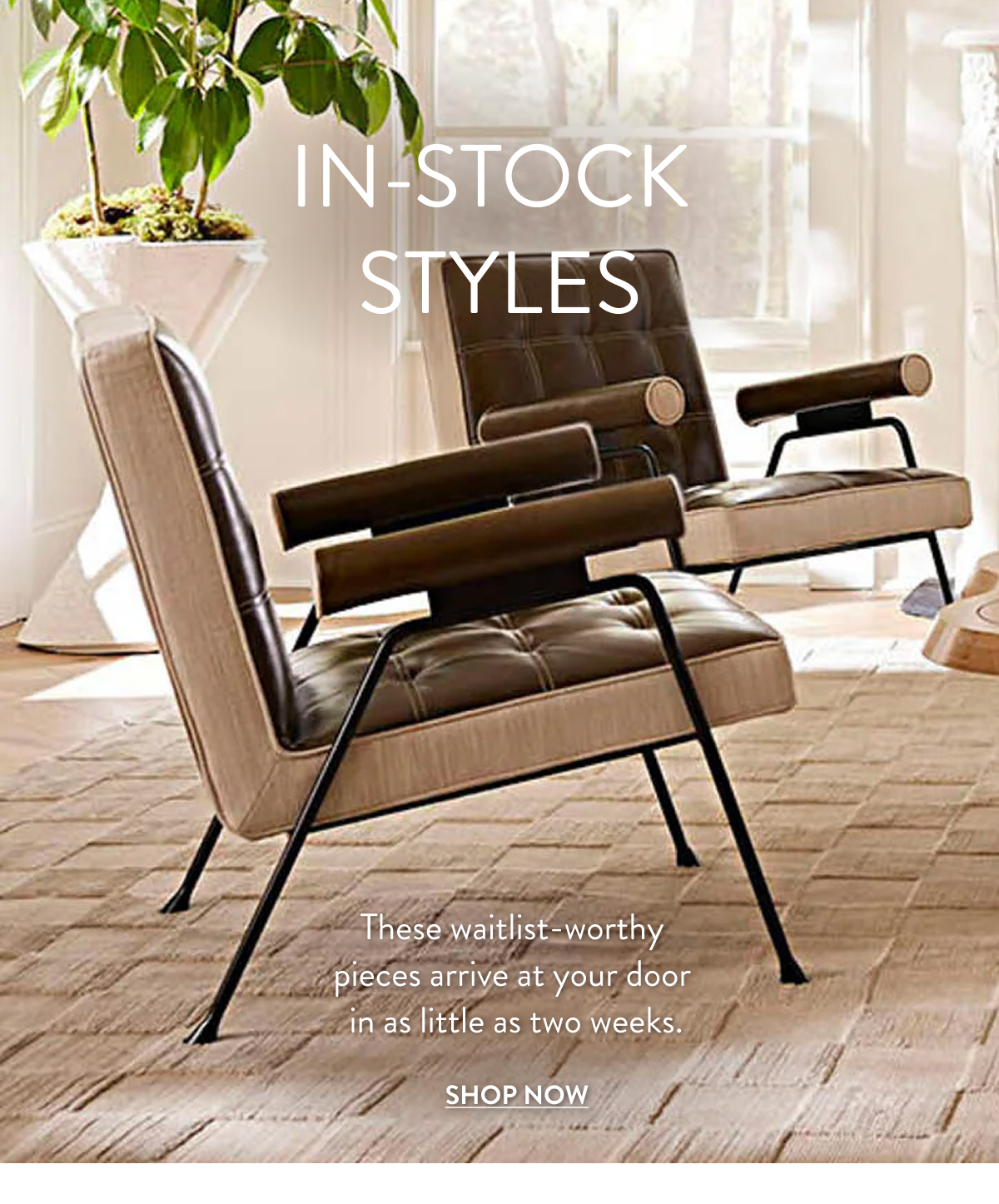 Shop Furniture