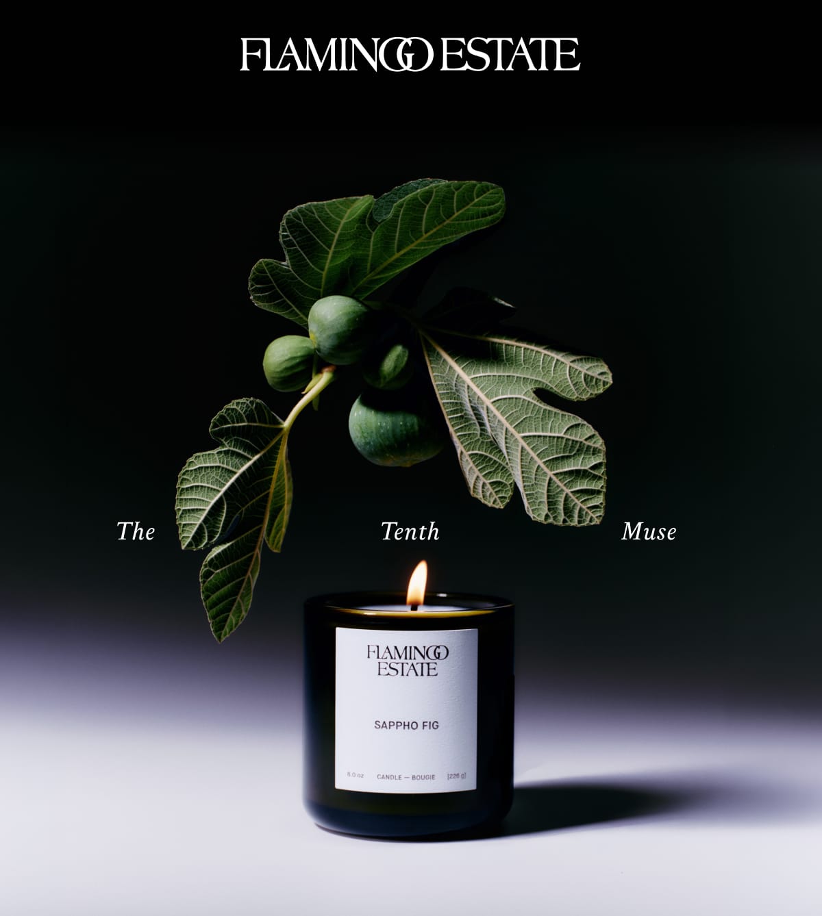 Sappho Fig