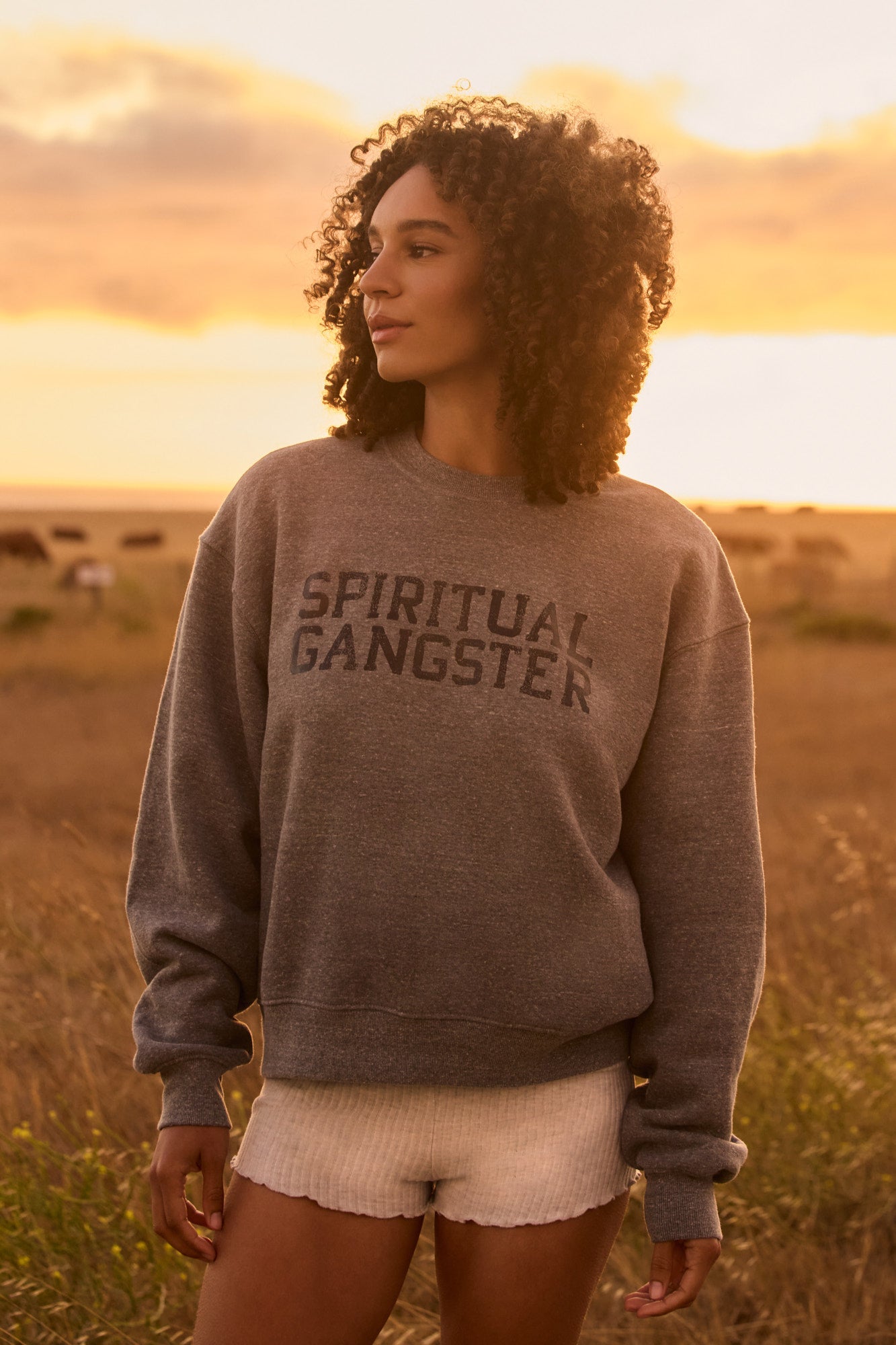 Image of SG Shine La Brea Crew