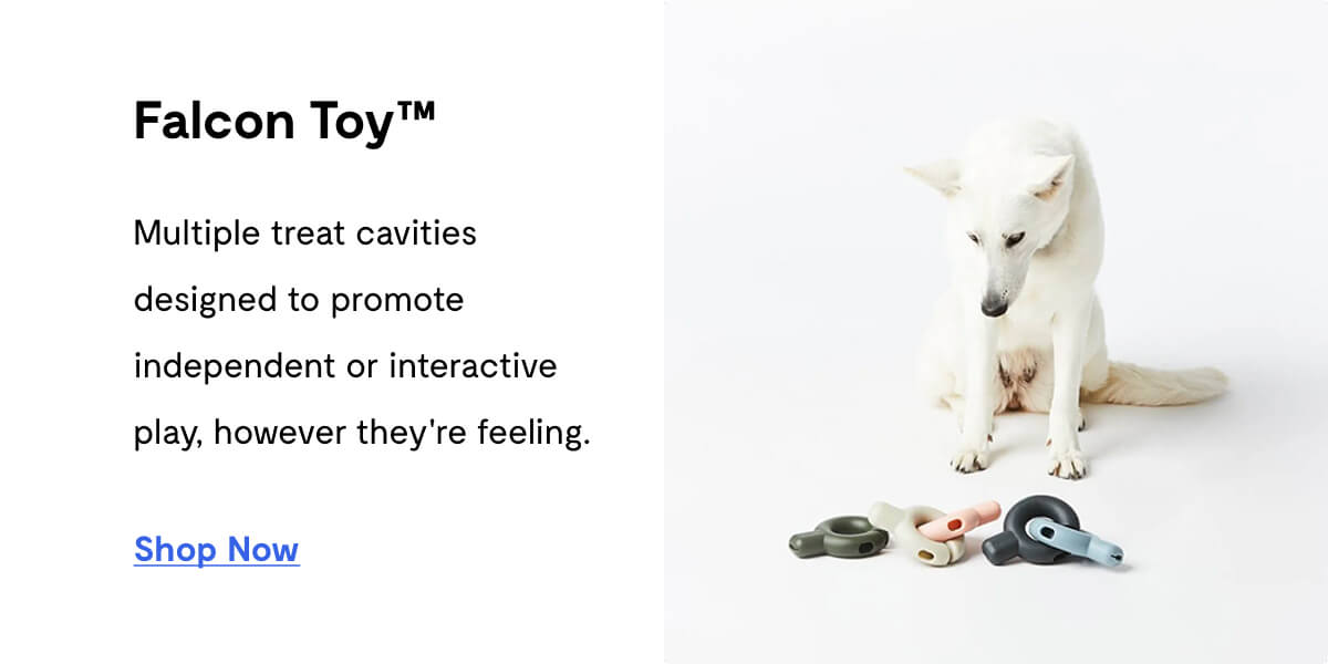Falcon Toy™