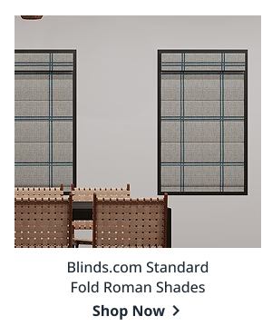 Blinds.com Standard Fold Roman Shades | Shop Now >