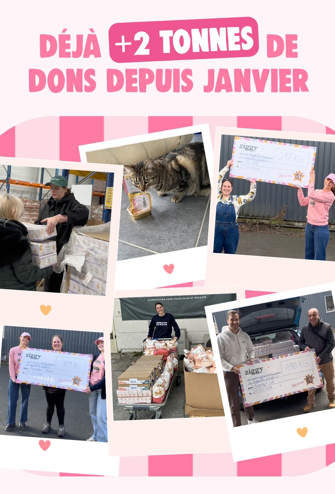 Déjà +2 tonnes de dons depuis janvier 