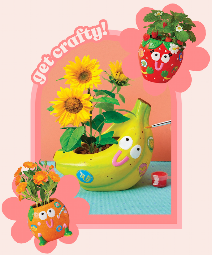 Shop DIY!