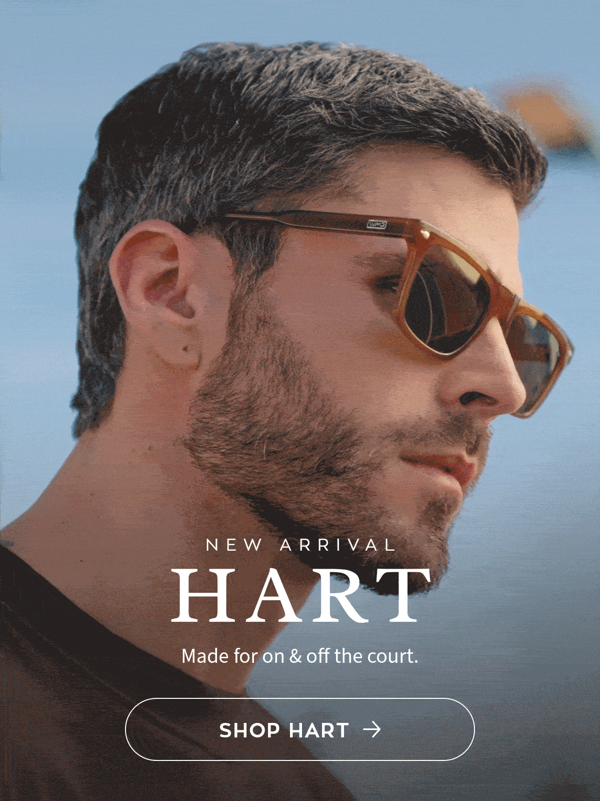 New Arrival - Hart
