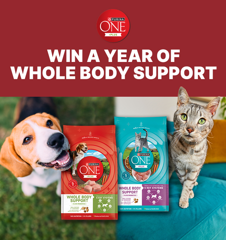 Win a Year of Whole Body Support