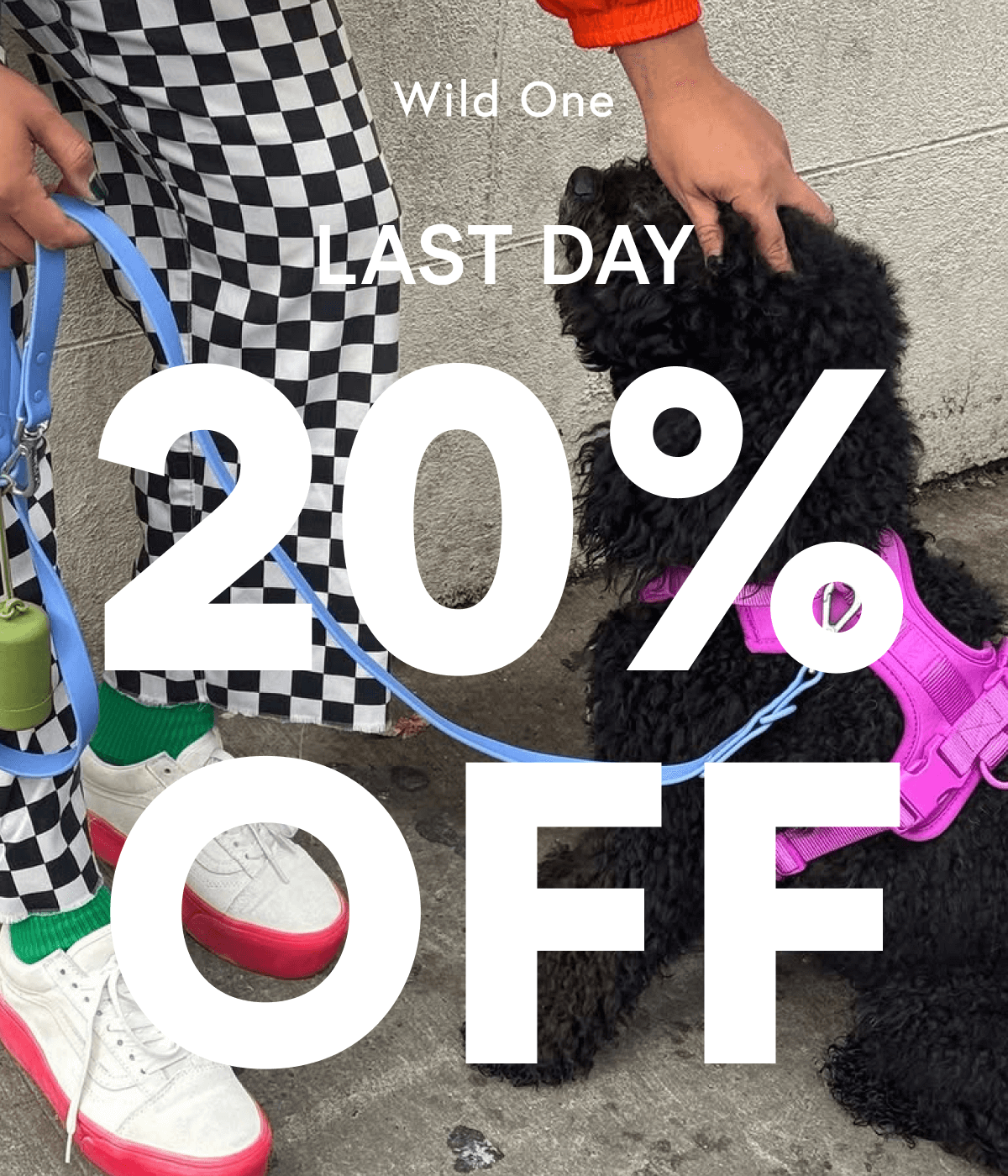 LAST DAY - 20% Off Sitewide