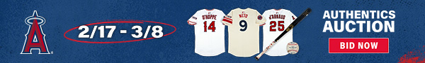 Angels Authentics Auction - Bid Now