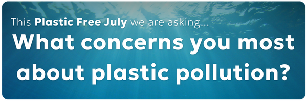 Header with the question: what concerns you most about plastic pollution?