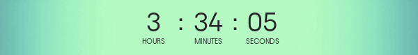 timer