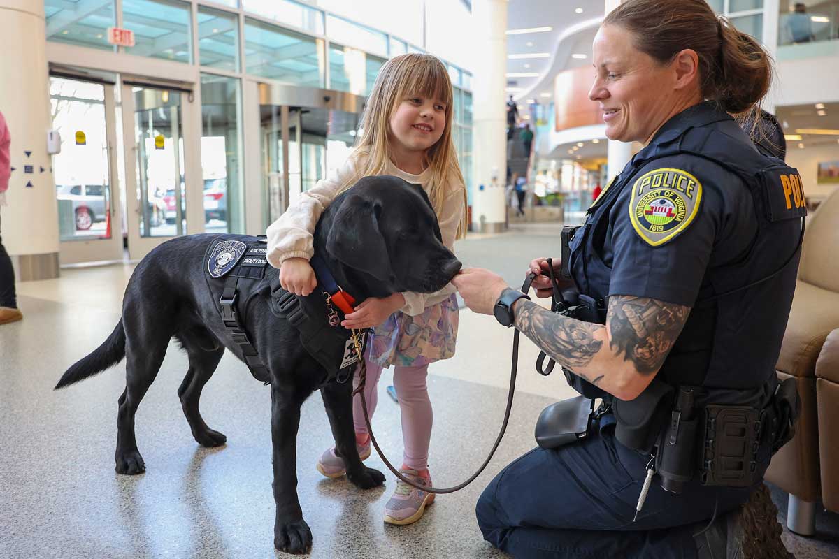 Tails of service: A comfort dog arrives as a K-9 hero retires