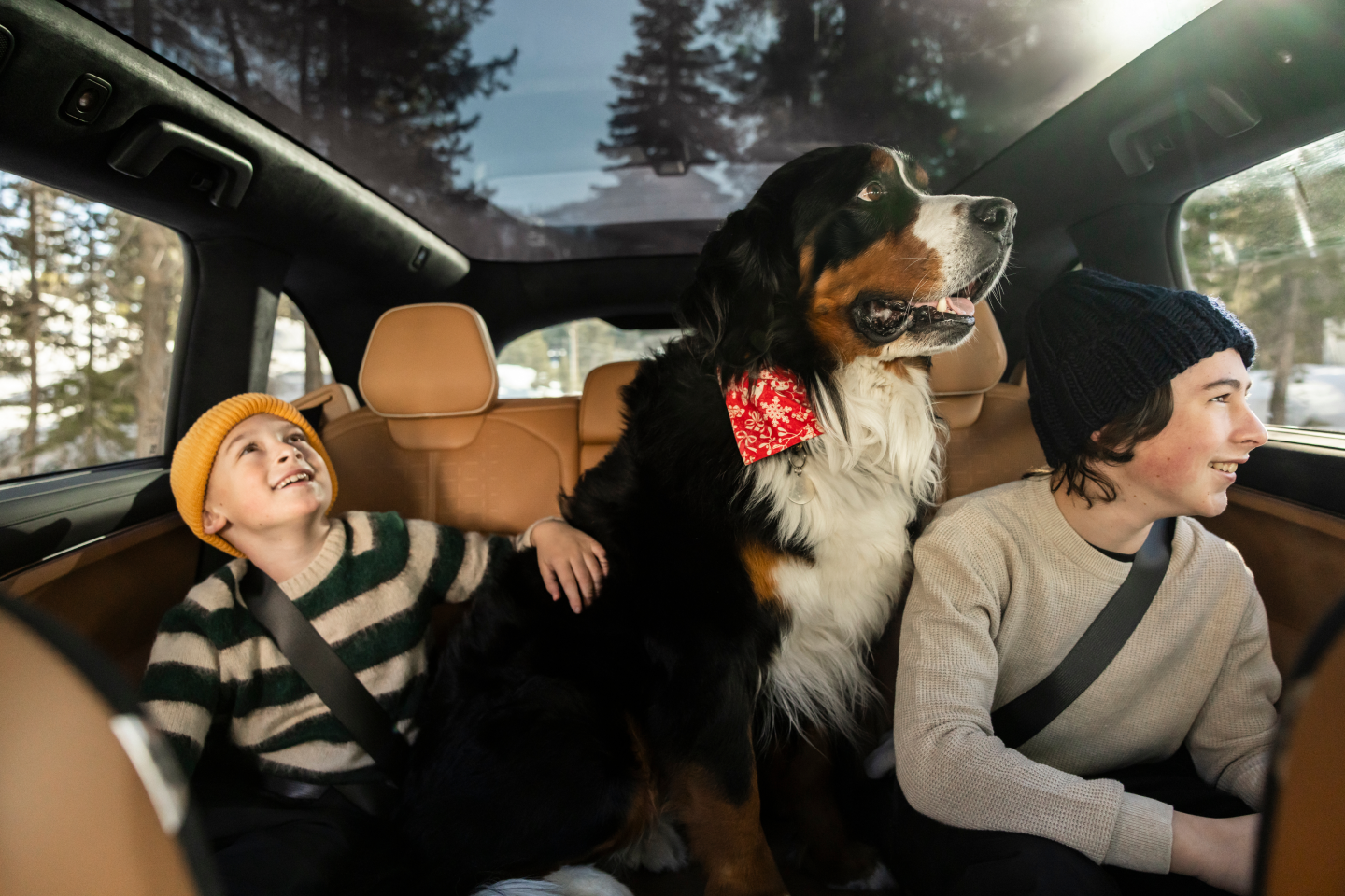 Lucid Gravity Interior