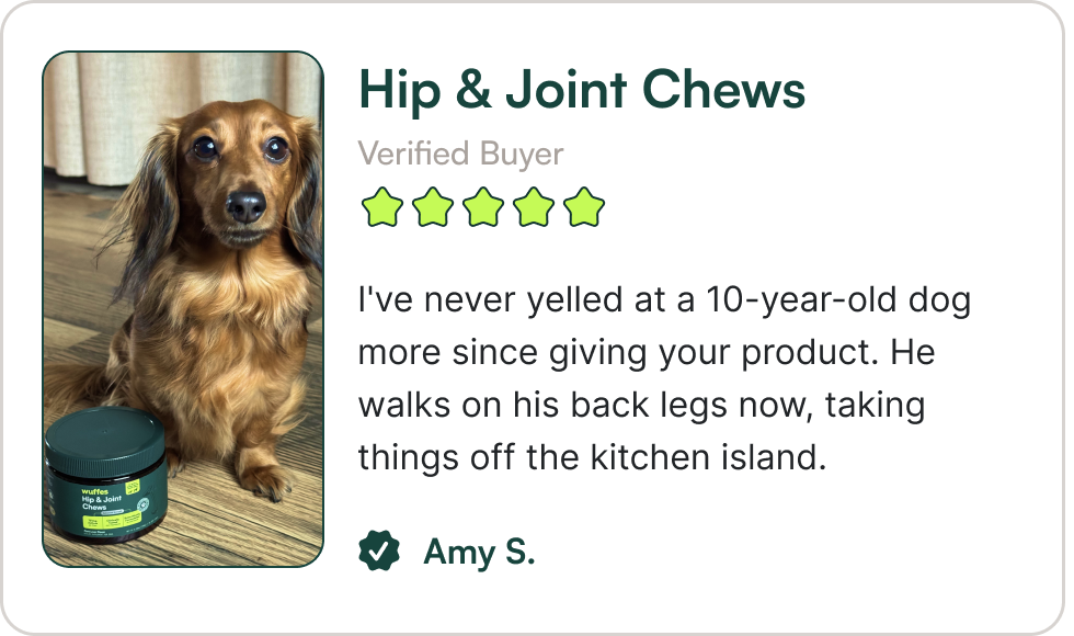 I've never yelled at a 10-year-old dog more since giving your product. He walks on his back legs now, taking things off the kitchen island.