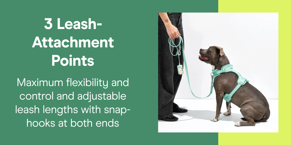 3 Leash-Attachment Points Maximum flexibility and control and adjustable leash lengths with snap-hooks at both ends