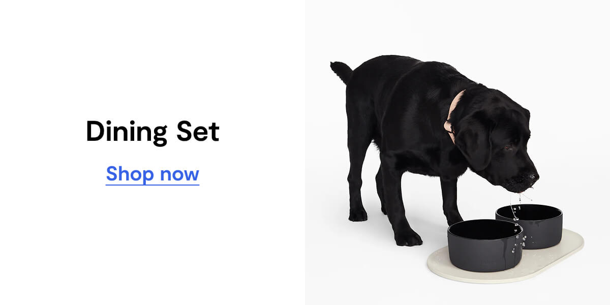 Dining Set