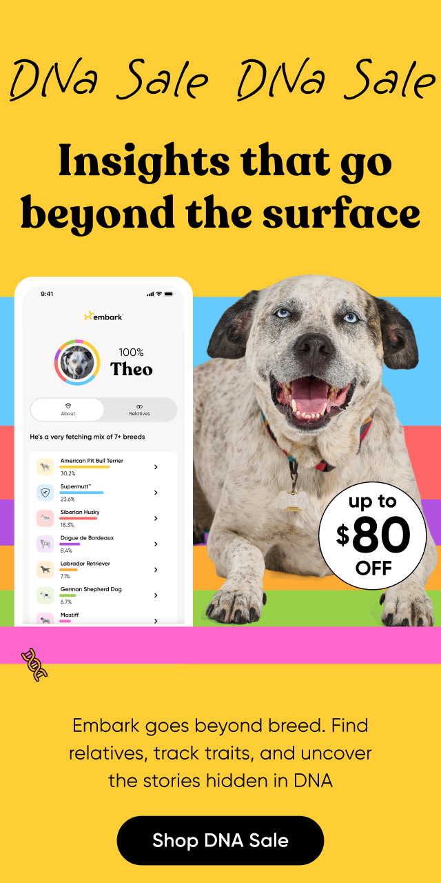 Insights that go beyond the surface. Embark goes beyond breed. Find relatives, track traits, and uncover the stories hidden in their DNA. Shop DNA Sale