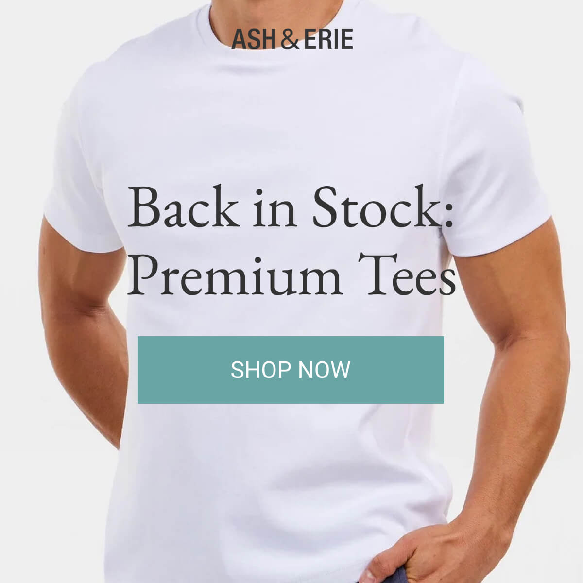 Back in Stock: Premium Tees