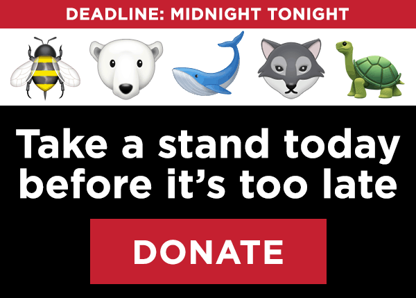 GIF of emoji animals disappearing. Deadline: Midnight Tonight. Take a stand today before it's too late. Donate.