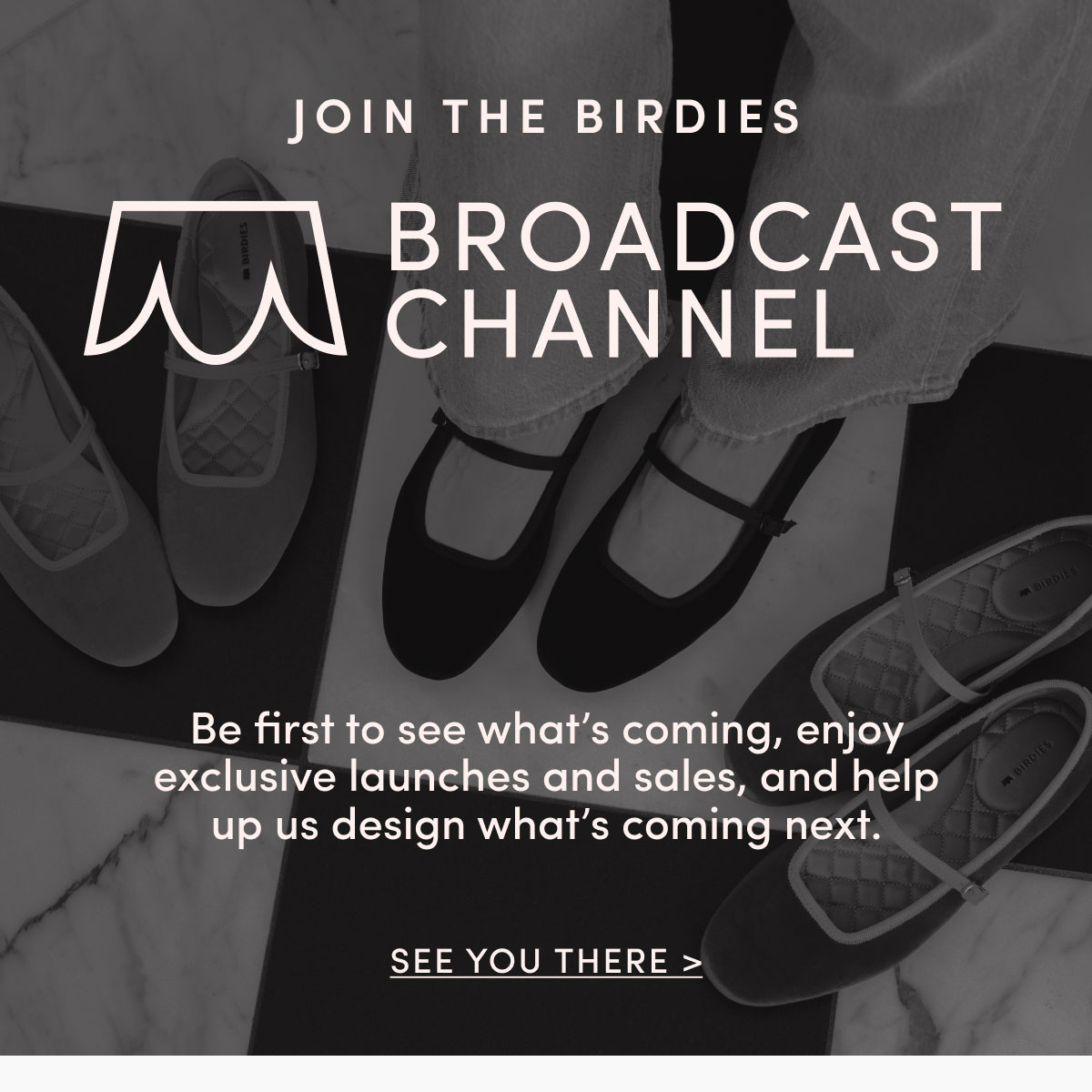 Join the Birdies Broadcast Channel