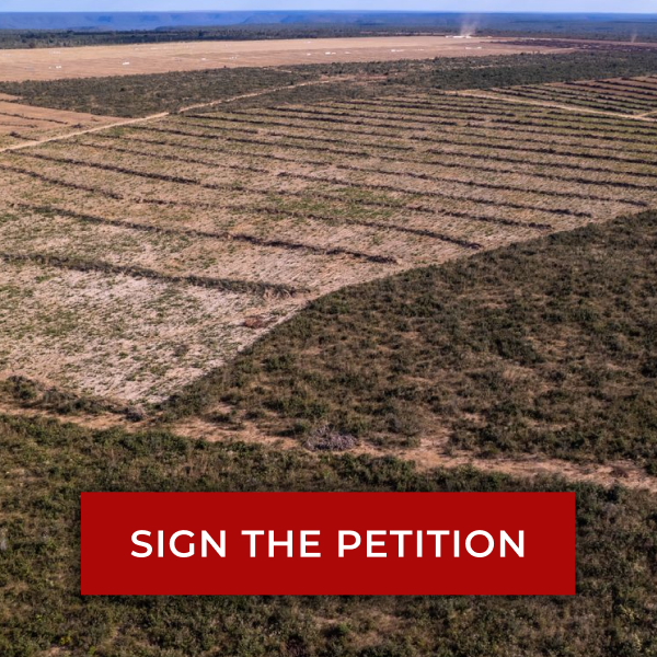Image of deforested area of Amazon. Text reads 'SIGN THE PETITION'.