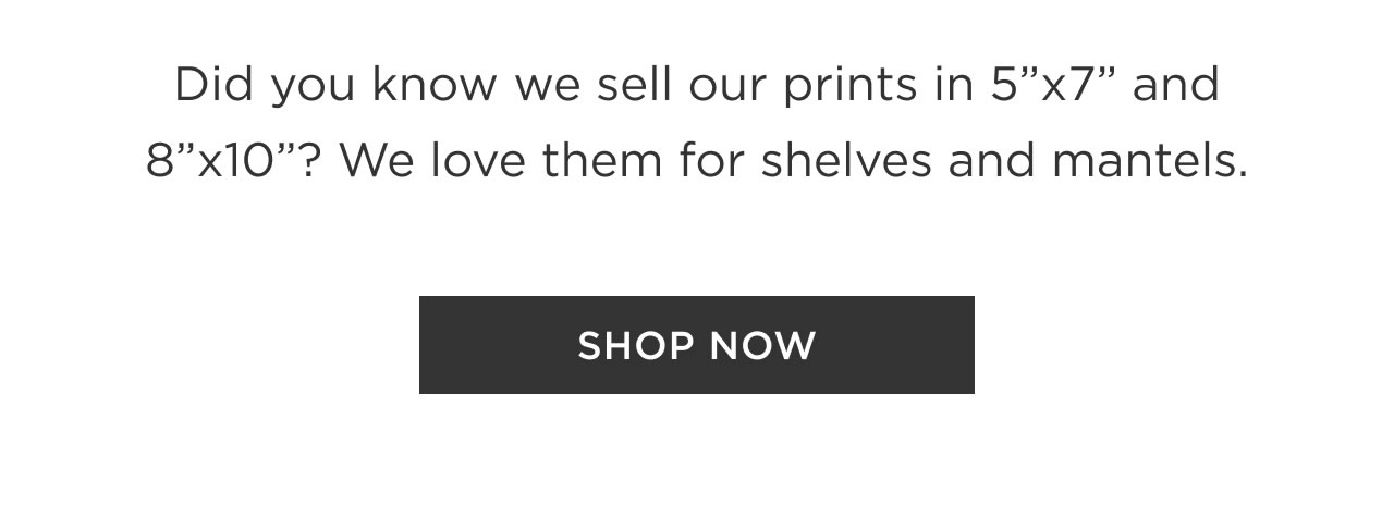 Shop Now