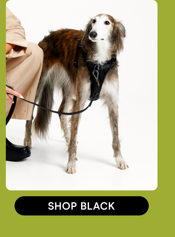 shop black