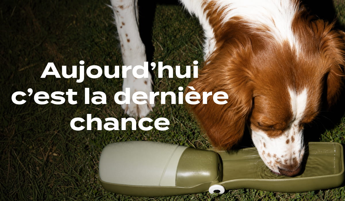 -25% et une gourde de voyage pour chien
