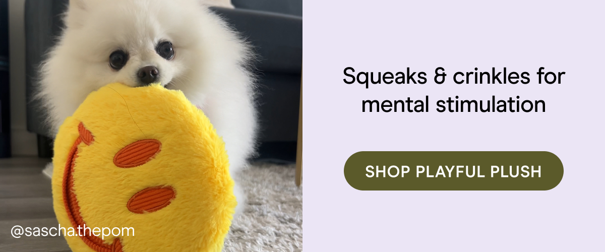 squeaks & crinks for mental stimulation