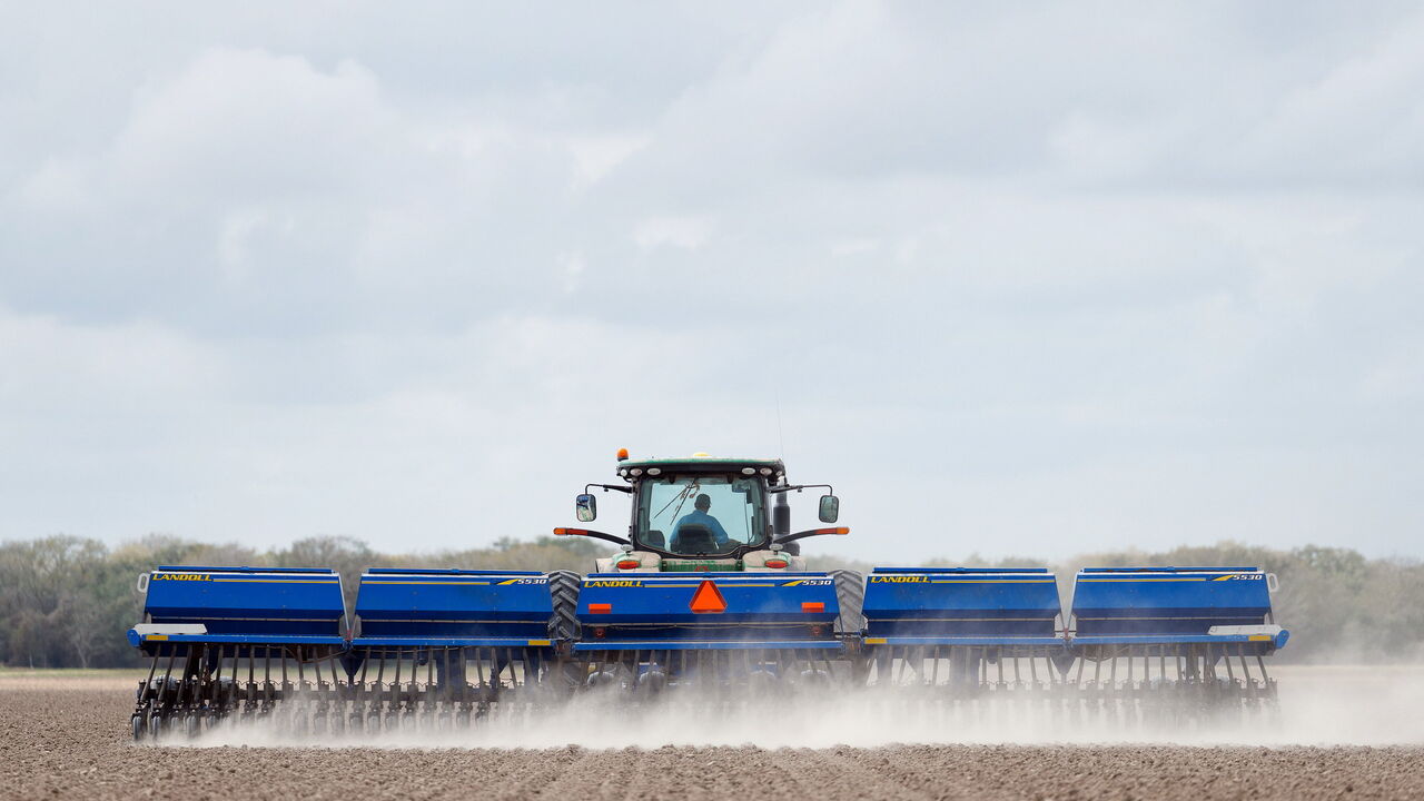 A farmer plants rice at a farm.
