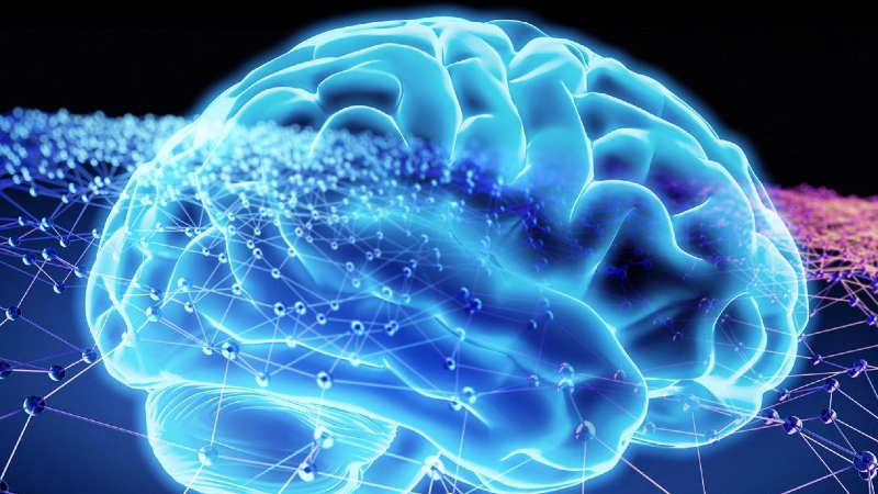 Illustration of a brain