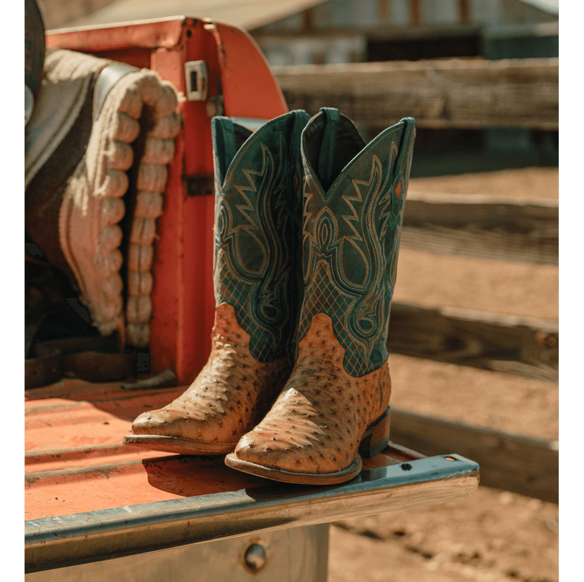 STETSON BOOTS