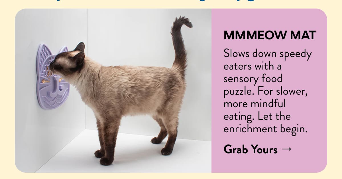 Mmmeow mat