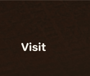 Visit