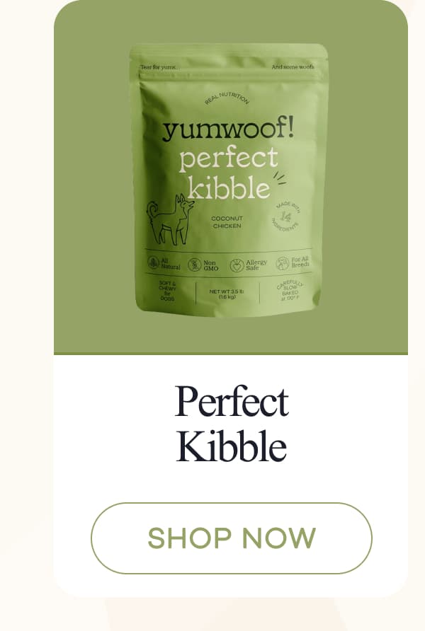 Perfect Kibble | shop now