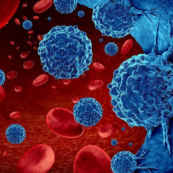 Cancer in the blood outbreak malignant cells in a human body caused by carcinogens and genetics with a cancerous cell as an immunotherapy as a 3D render.