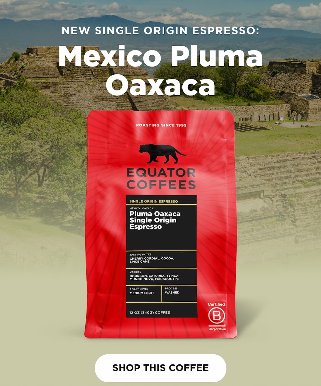 New Single Origin Espresso: Mexico Pluma Oaxaca