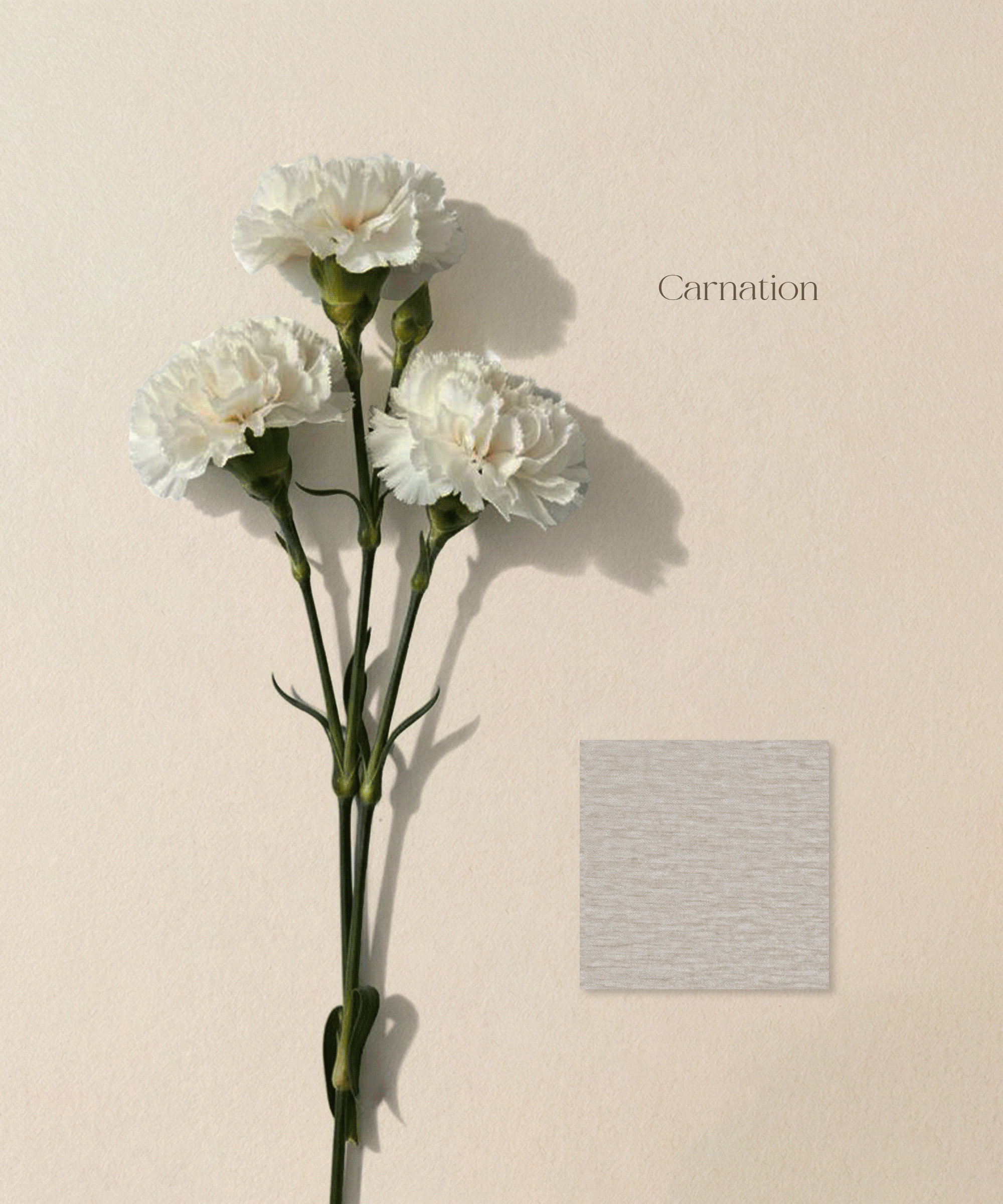  Colors, from botanicals. From leaf to fabric, every shade finds its place.
