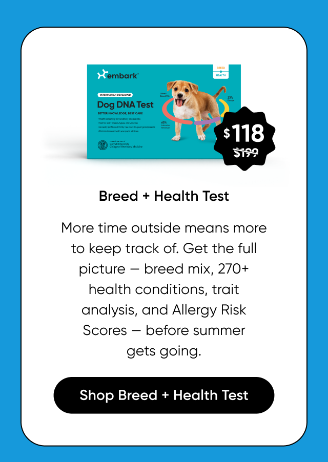 More time outside means more to keep track of. Get the full picture: breed mix, 270+ health conditions, traits analysis, and Allergy Risk Scores, before summer gets going. Shop Breed + Health Test.