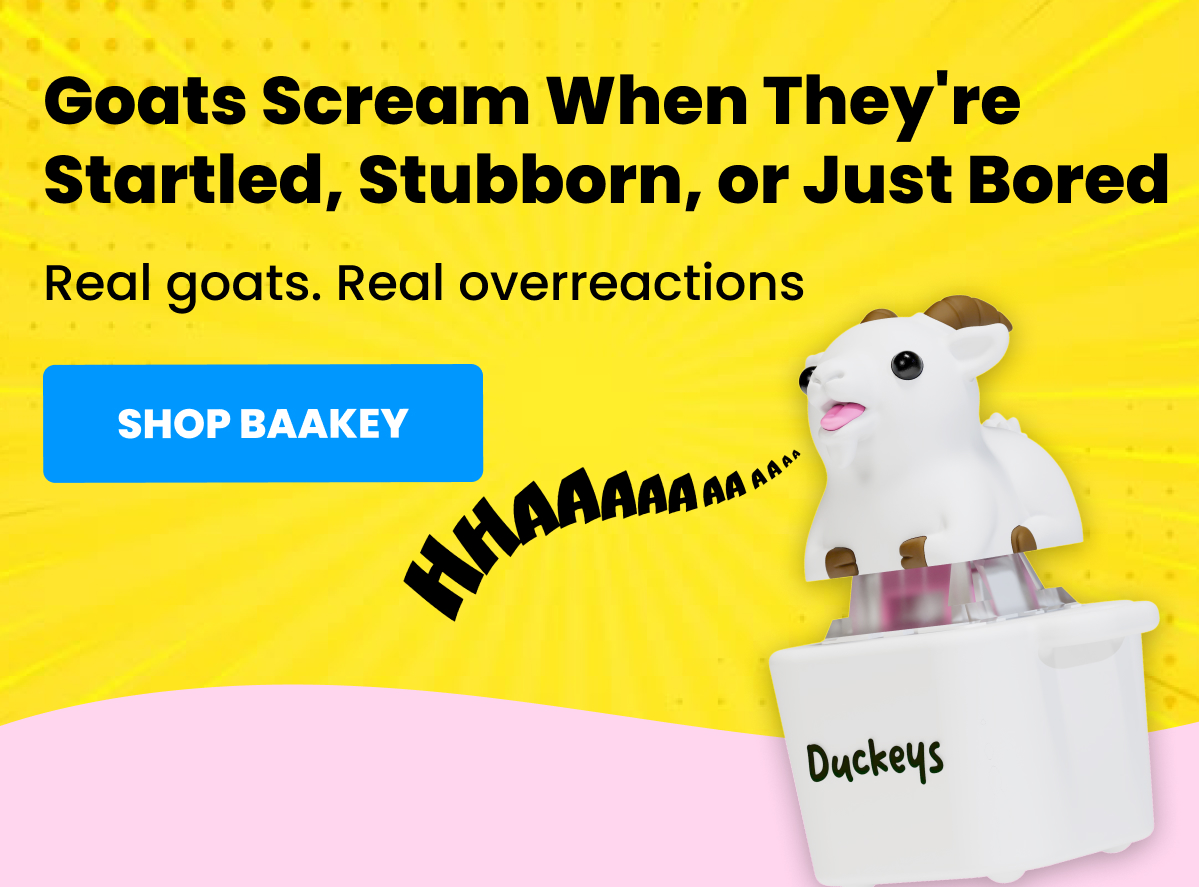 Goats Scream When They're Startled, Stubborn, or Just Bored