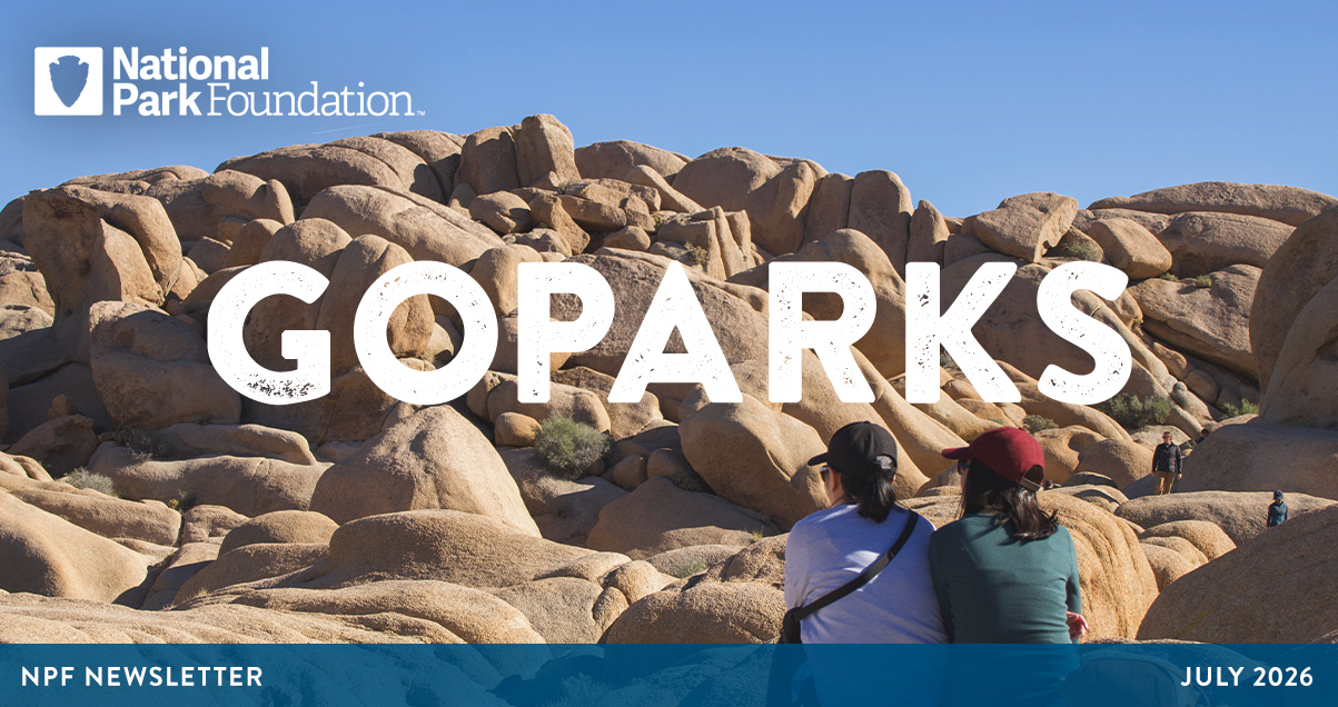 National Park Foundation, GoParks newsletter graphic image cover of two hikers sitting on a boulder and looking at the many smooth, boulders in front of them that form a small mountain at Joshua Tree National Park