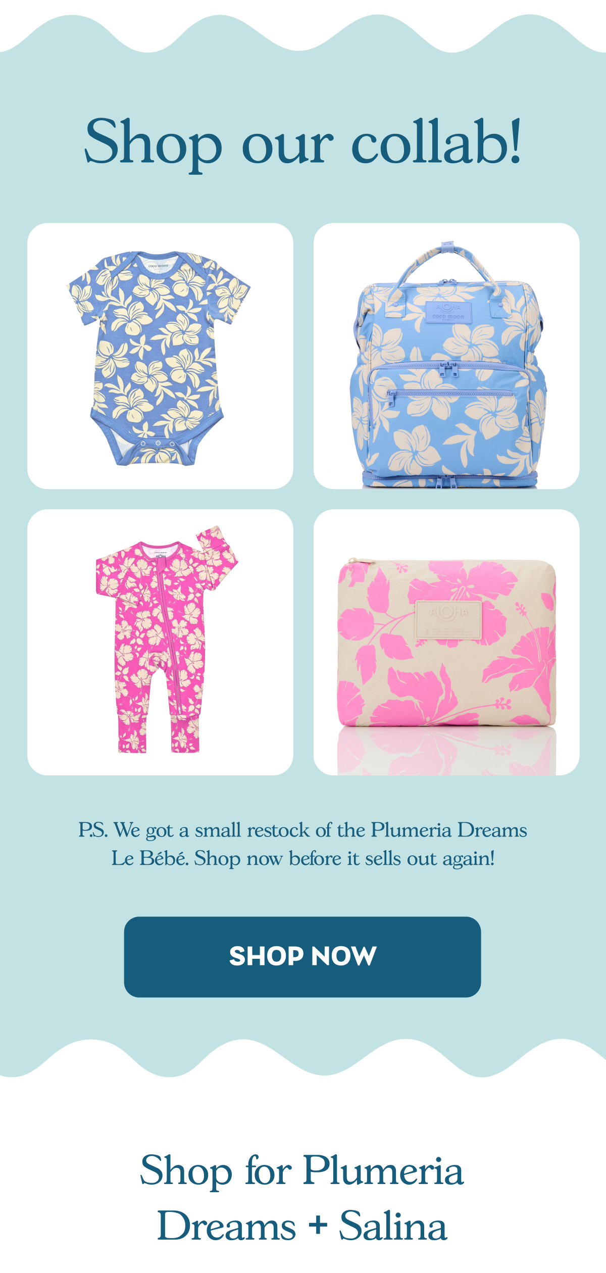Shop Our Collab!