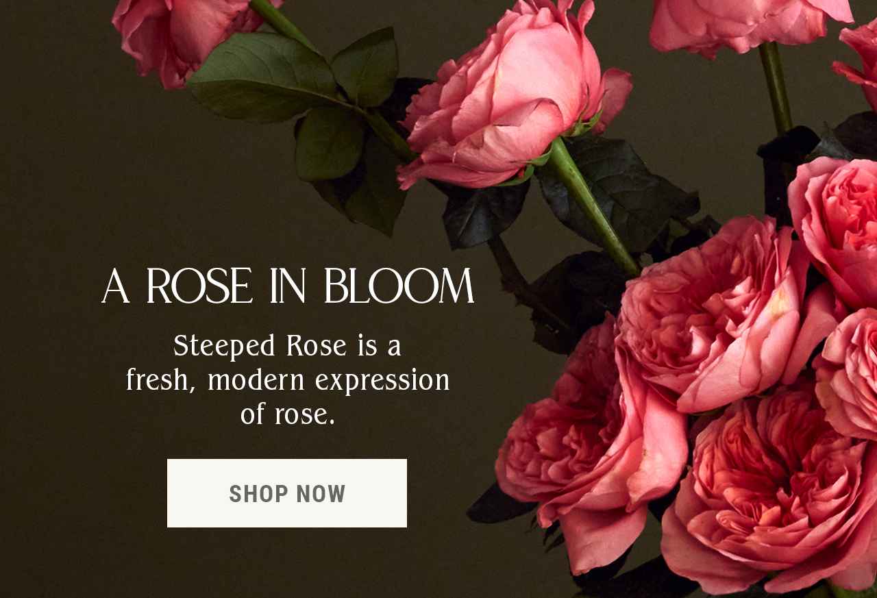 A Rose In Bloom — Steeped Rose is a fresh, modern expression of rose. Shop Now.