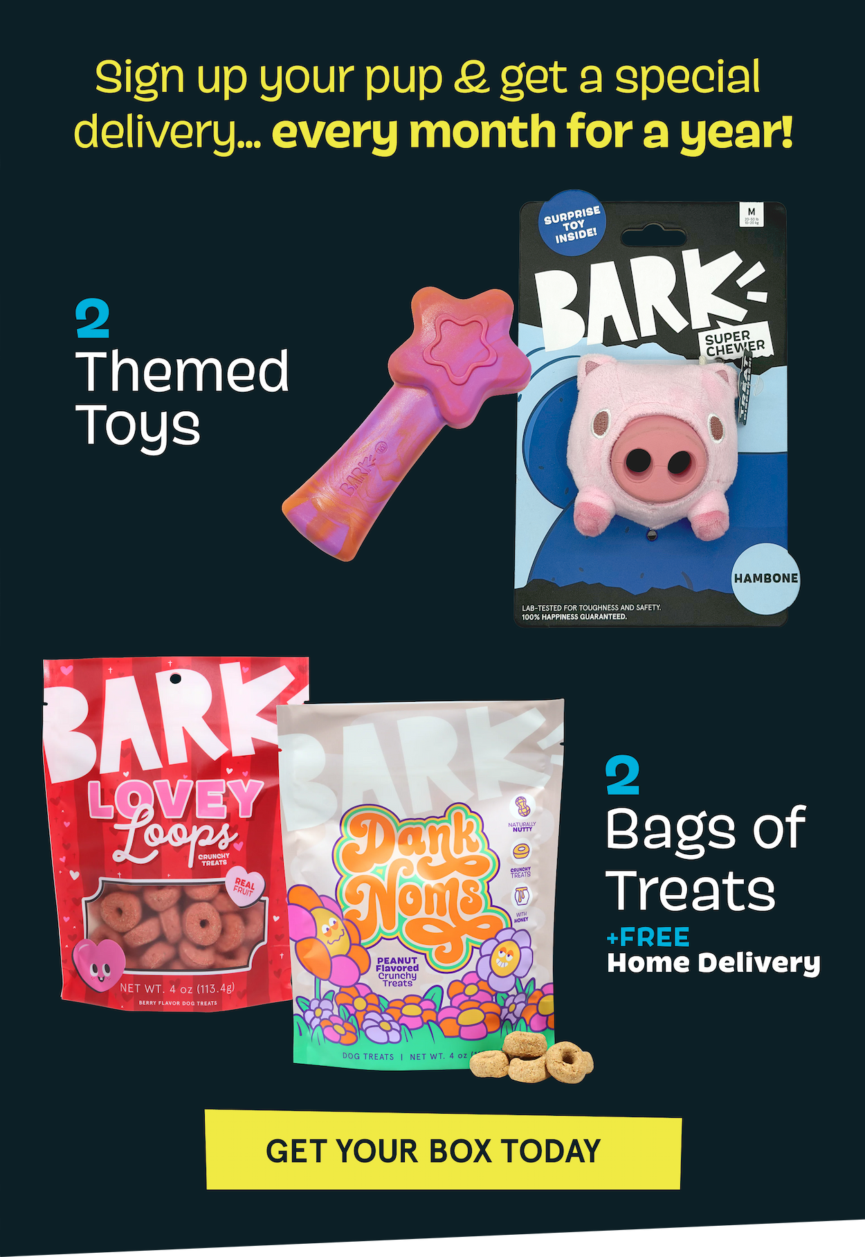 Sign up your pup & get a special delivery... every month for a year! | 2 Themed Toys | 2 Bags of Treats + Free Home Delivery | Get Your Box Today